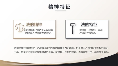 治法宪法政府法律年终工作总结汇报动态PPT