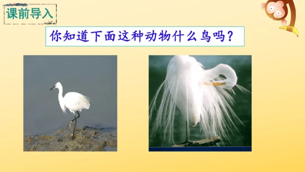 1 白鹭   课件