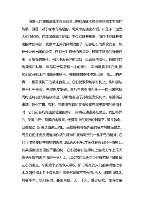 做好审计工作的心得体会.docx