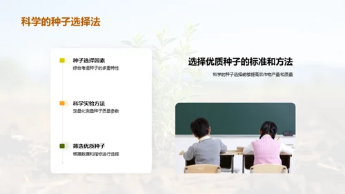 种子选择与培育策略