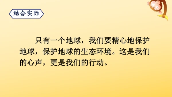 19 只有一个地球 课件