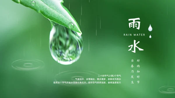 雨水绿色露水背景通用PPT模板
