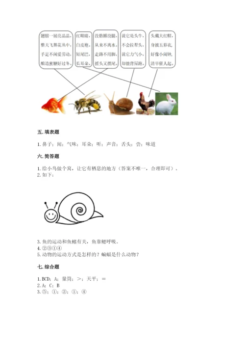 教科版小学科学一年级下册期末测试卷附答案（达标题）.docx