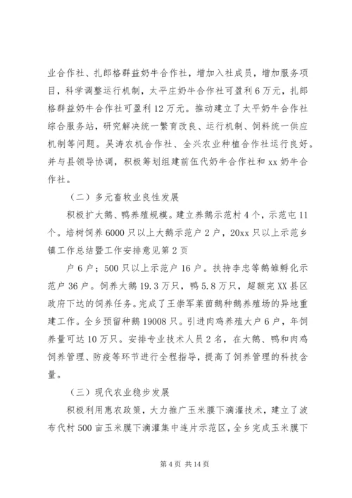 乡镇工作总结暨工作安排意见.docx