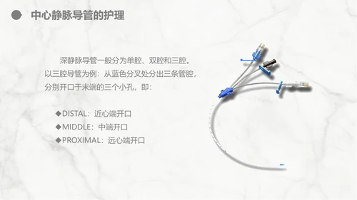 集束化干预在静脉导管相关血流感染的应用PPT模板