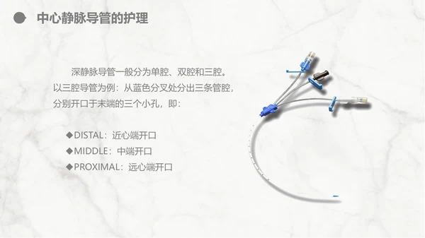 集束化干预在静脉导管相关血流感染的应用PPT模板