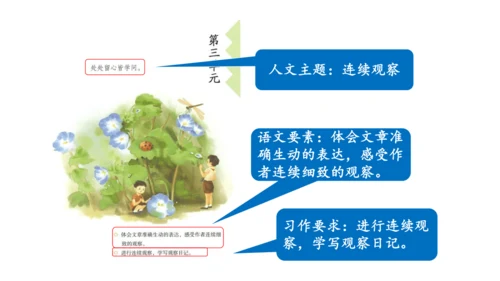 2024年秋部编版四年级上册9.《古诗三首》（课件 ）