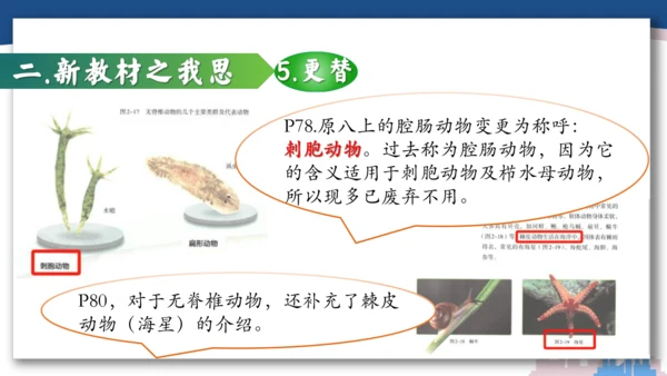 【开学必读】初中生物学新课标新教材解析和备课指导课件(共49张PPT)