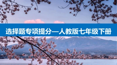 选择题专项提分-2023-2024学年七年级地理下学期期中（人教版）(共25张PPT)