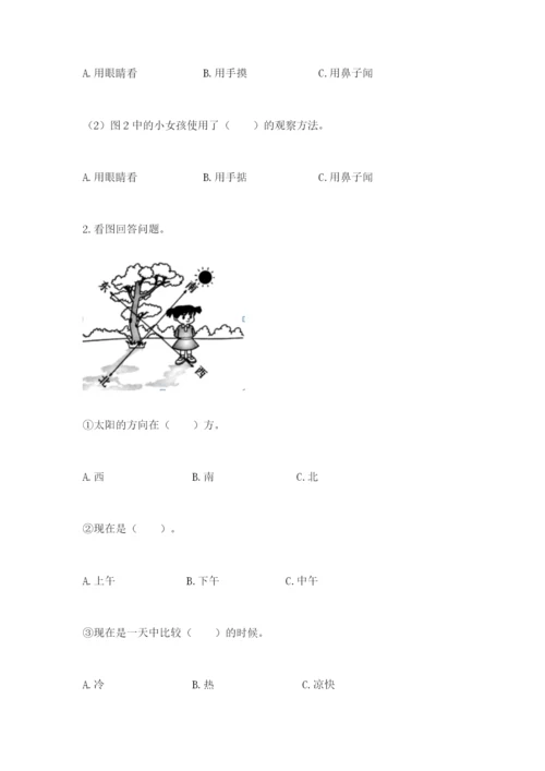 教科版科学二年级上册《期末测试卷》精品（网校专用）.docx