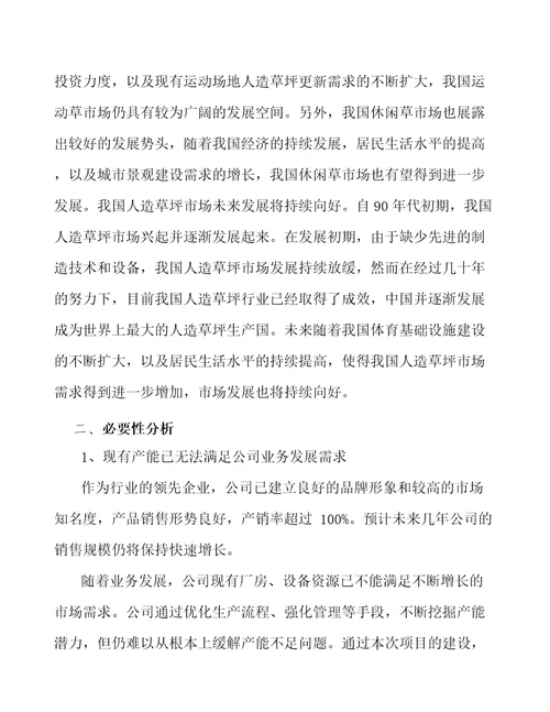 人造草坪公司企业战略方案