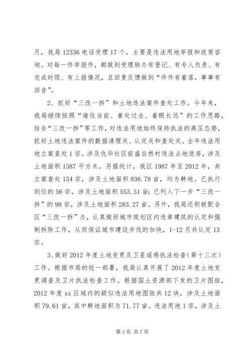 国土局年度行政执法工作自查报告.docx