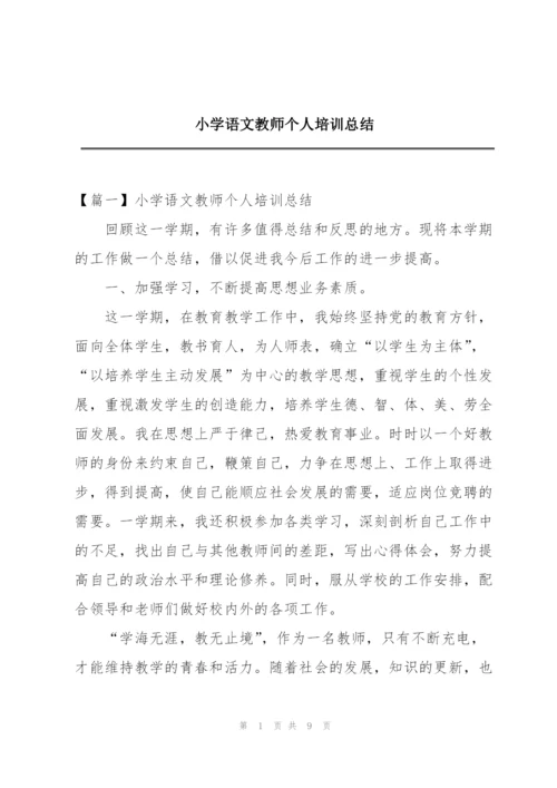 小学语文教师个人培训总结.docx