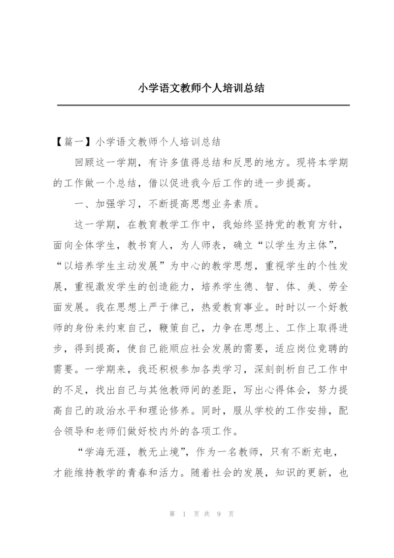 小学语文教师个人培训总结.docx