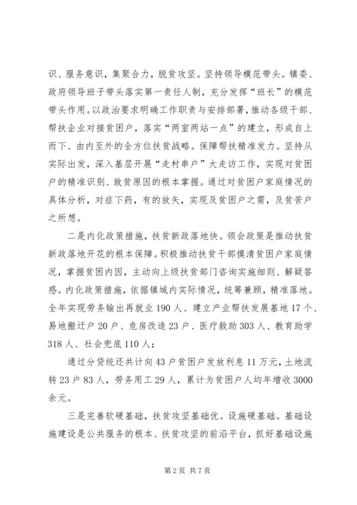 乡镇某年度扶贫工作总结.docx