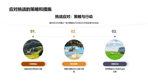 农场运营半年回顾