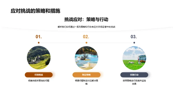 农场运营半年回顾