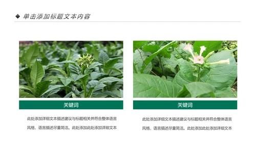 中国人寿保险公司年中工作总结工作计划PPT