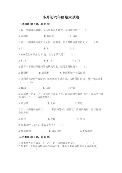 小升初六年级期末试卷【综合卷】.docx