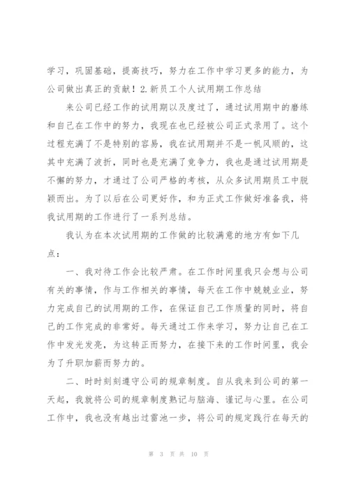 新员工个人试用期工作总结（5篇）.docx