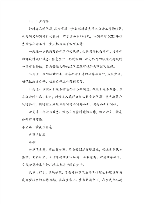乡信息工作总结