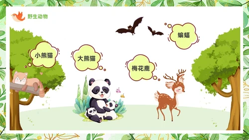 绿色可爱卡通风认识小动物知识介绍PPT世界动物日