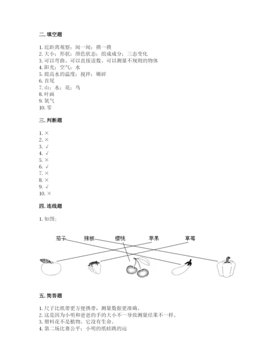 教科版一年级上册科学期末测试卷（全优）word版.docx