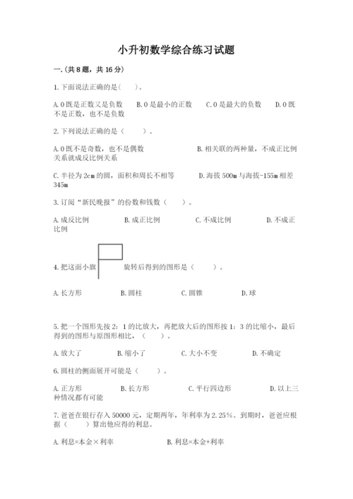 小升初数学综合练习试题精品（精选题）.docx