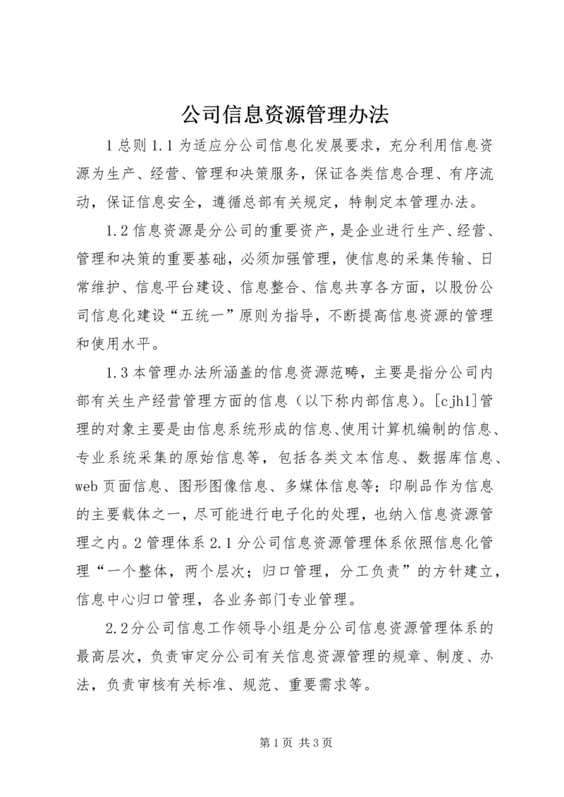 公司信息资源管理办法 (6).docx