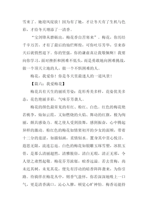 梅花的作文600字.docx
