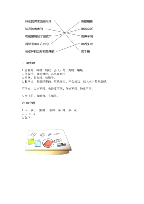 教科版一年级下册科学期末测试卷【名校卷】.docx