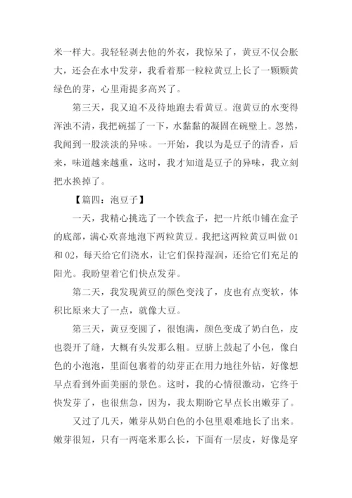 关于泡豆子的作文.docx