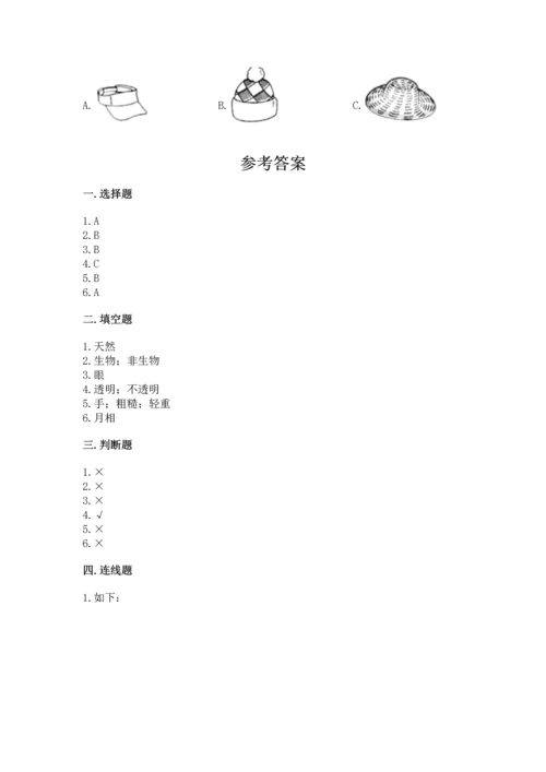 教科版二年级上册科学期末测试卷及1套参考答案.docx