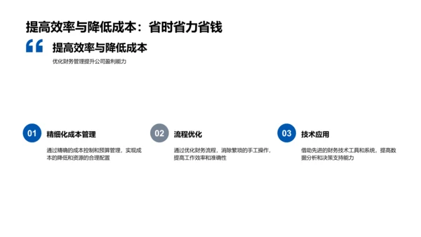 会计策略述职报告