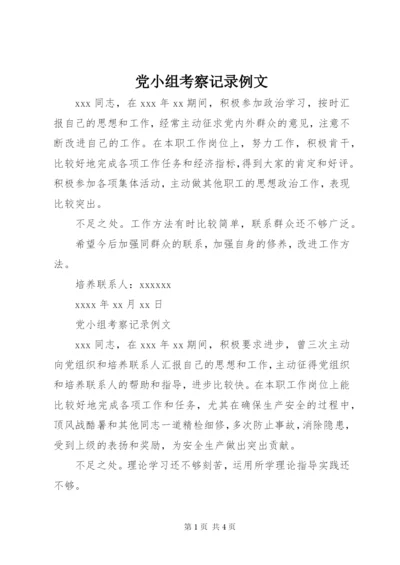 党小组考察记录例文 (2).docx