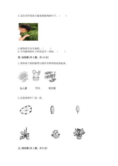 教科版科学一年级上册第一单元《植物》测试卷附完整答案【典优】.docx