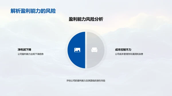月度财务风险报告PPT模板