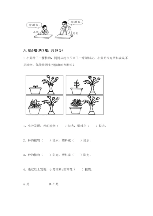 教科版一年级上册科学期末测试卷标准卷.docx