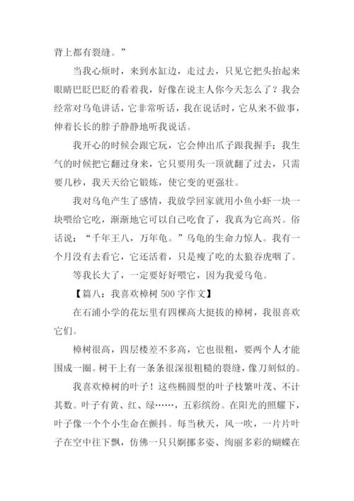 写物的作文500字.docx