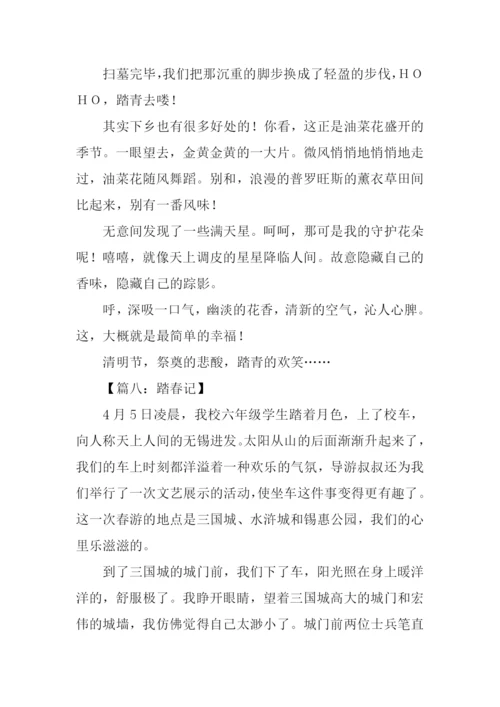 关于踏青的作文.docx