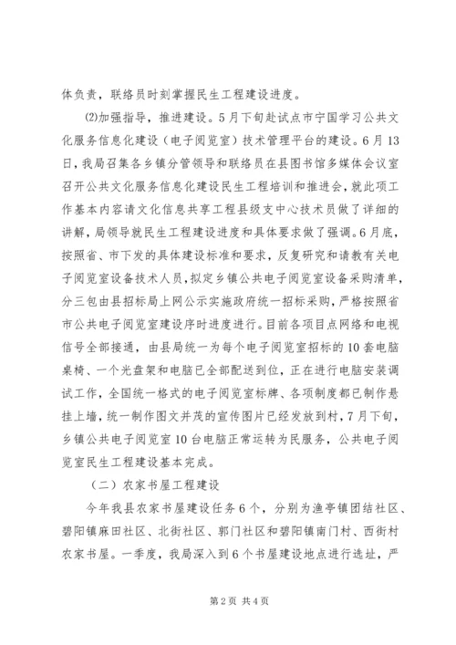 县文广新局民生工程建设情况汇报.docx