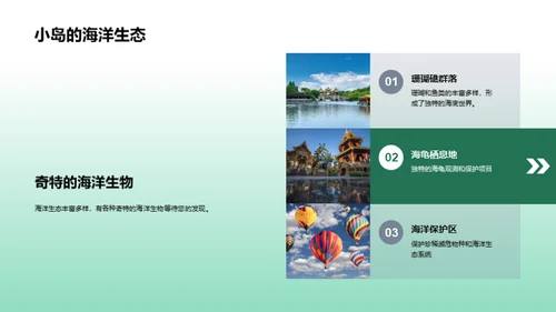 小岛奇遇之旅