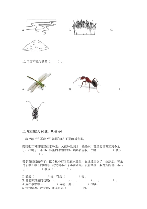 教科版一年级下册科学期末测试卷【基础题】.docx