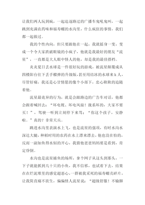 写小伙伴的作文.docx
