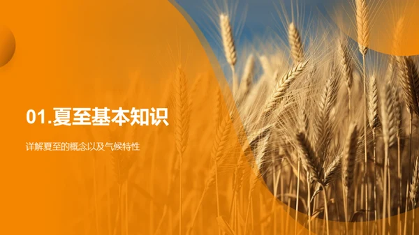 夏至气象与农业策略