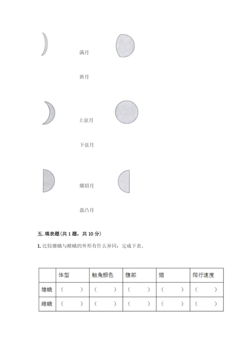 新教科版三年级下册科学期末测试卷附完整答案(全国通用).docx