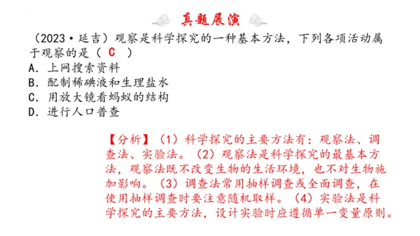 1.1 认识生物 2023-2024学年七年级生物上学期期末考点大串讲（人教版）(共19张PPT)
