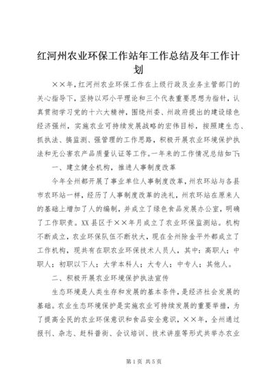 红河州农业环保工作站年工作总结及年工作计划 (2).docx