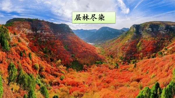 统编版语文三年级上册 第二单元 语文园地二   课件