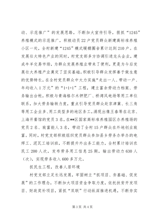 村党支部先锋富民行动典型材料.docx